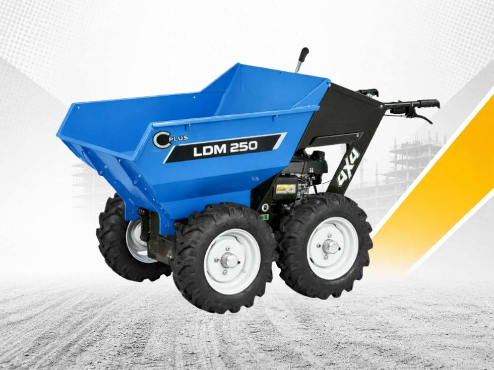 C PLUS LDM250